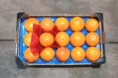 Foto Arance Tarocco Varietà Ippolito Calibro 2 Origine Italia Marchio Frutteti Siciliani  3